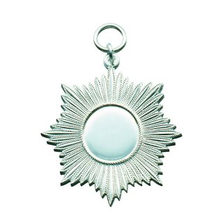 Orden, Messing, massiv geprägt, versilbert, mit Öse(n) und Ring(en)