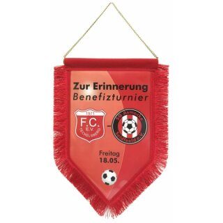 Vereinswimpel Nr. 41