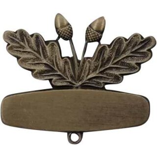 bronze